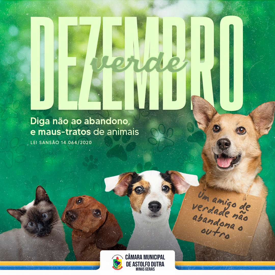 Dezembro Verde – Mês de Conscientização Contra o Abandono de Animais